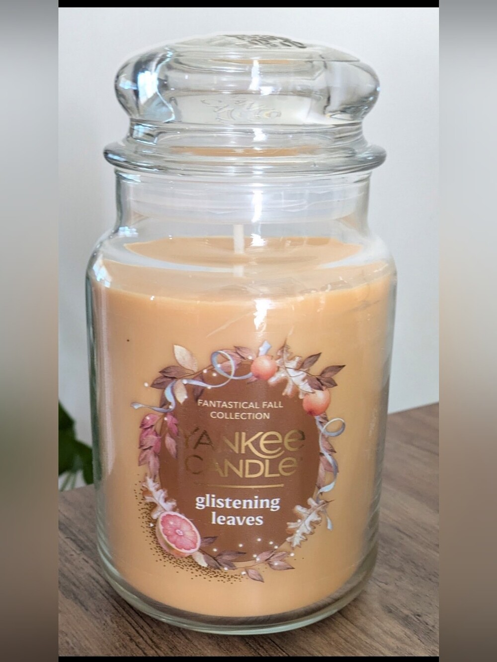 Glistening Leaves Scent Large 22 oz